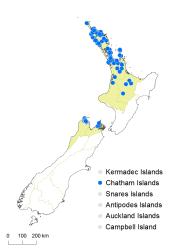 Schizeae fistulosa distribution map based on databased records at AK, CHR and WELT.
 Image: K. Boardman © Landcare Research 2014 